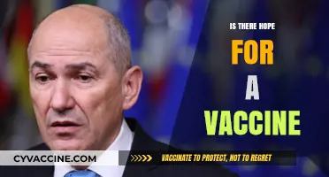 Breakthroughs on the Horizon: The Quest for a Vaccine Continues