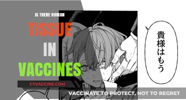 Unraveling the Myth: Do Vaccines Contain Human Tissue?