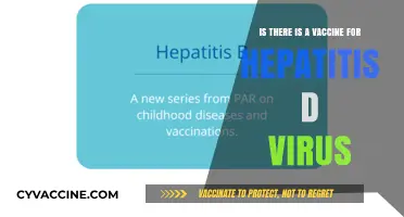 Hepatitis D Vaccine: Current Status and Future Prospects Explained