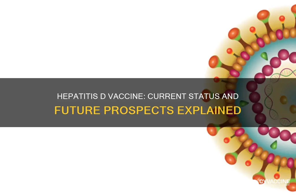 is there is a vaccine for hepatitis d virus