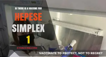 Exploring the Search for a Herpes Simplex 1 Vaccine: What’s Available?