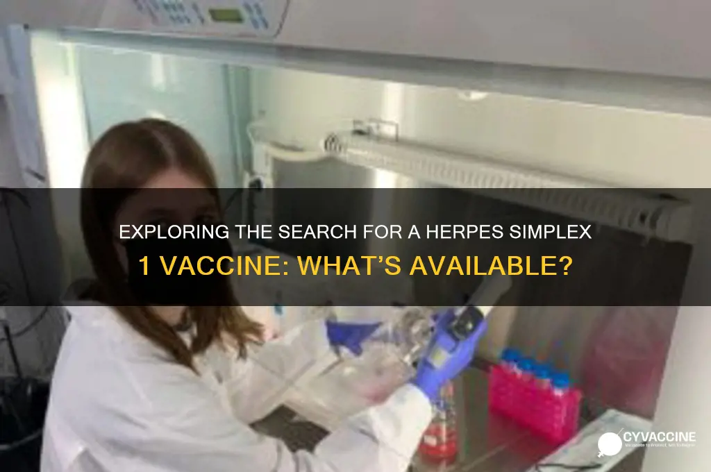is there is a vaccine for hepese simplex 1