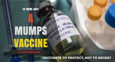Exploring the Mumps Vaccine: Facts, Myths, and Prevention