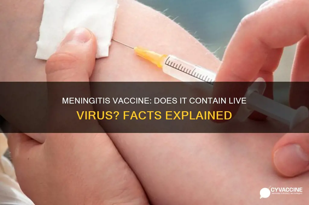 is there live virus in the meningitis vaccine