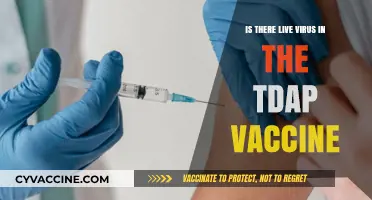 Does the Tdap Vaccine Contain Live Virus? Facts and Safety Explained