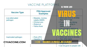 Exploring the Science: Do Vaccines Contain Live Viruses?