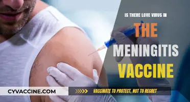 Meningitis Vaccine and Love Virus: Separating Fact from Fiction