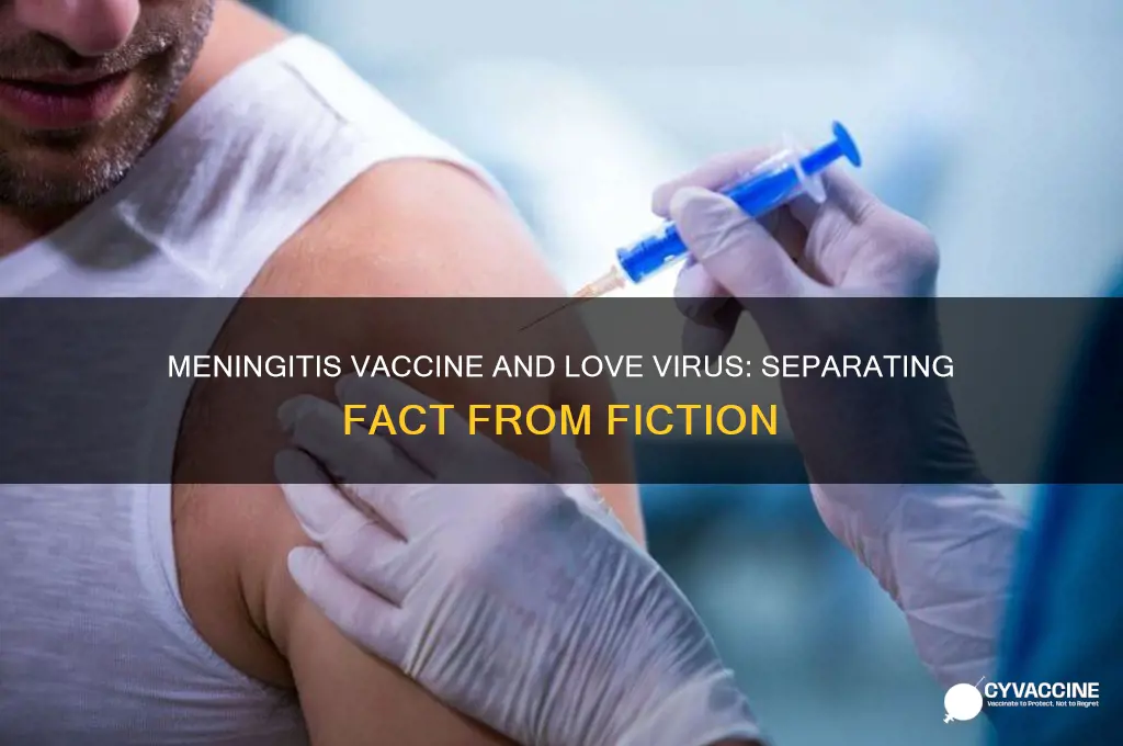 is there love virus in the meningitis vaccine