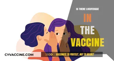 Unveiling the Truth: Luciferase and Vaccines - A Scientific Exploration