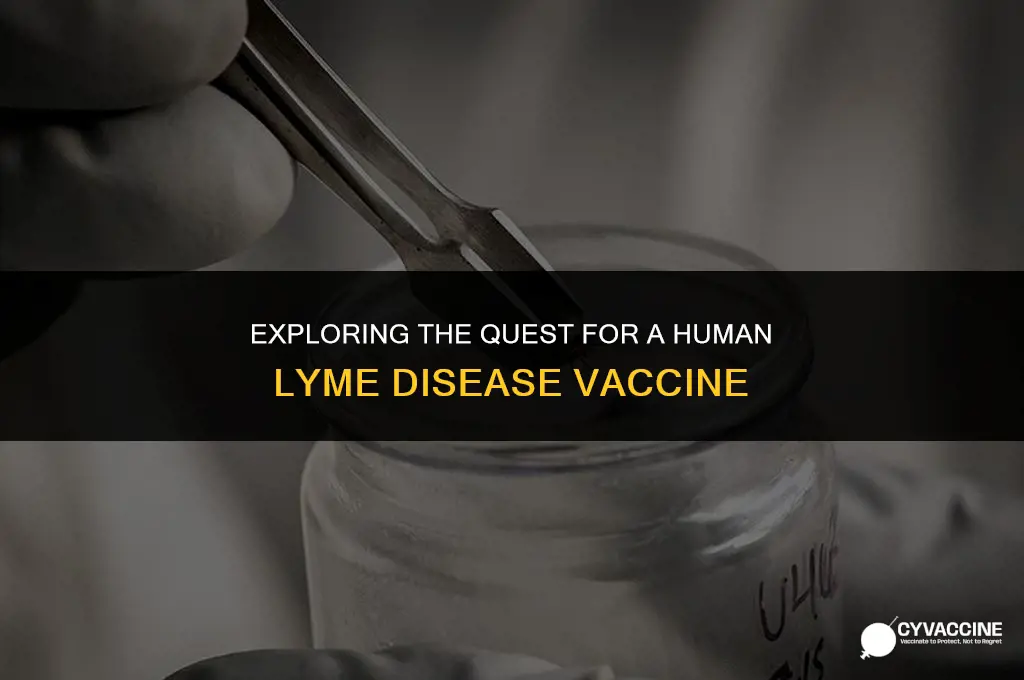 is there lyme vaccine for humans