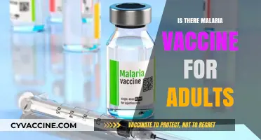 Adult Malaria Vaccination: A Breakthrough in Global Health Protection
