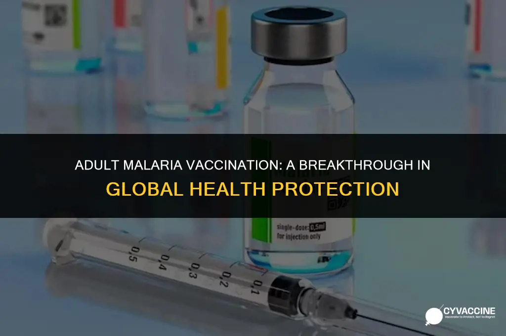 is there malaria vaccine for adults