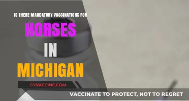Michigan Horse Vaccination Requirements: Are They Mandatory for Owners?