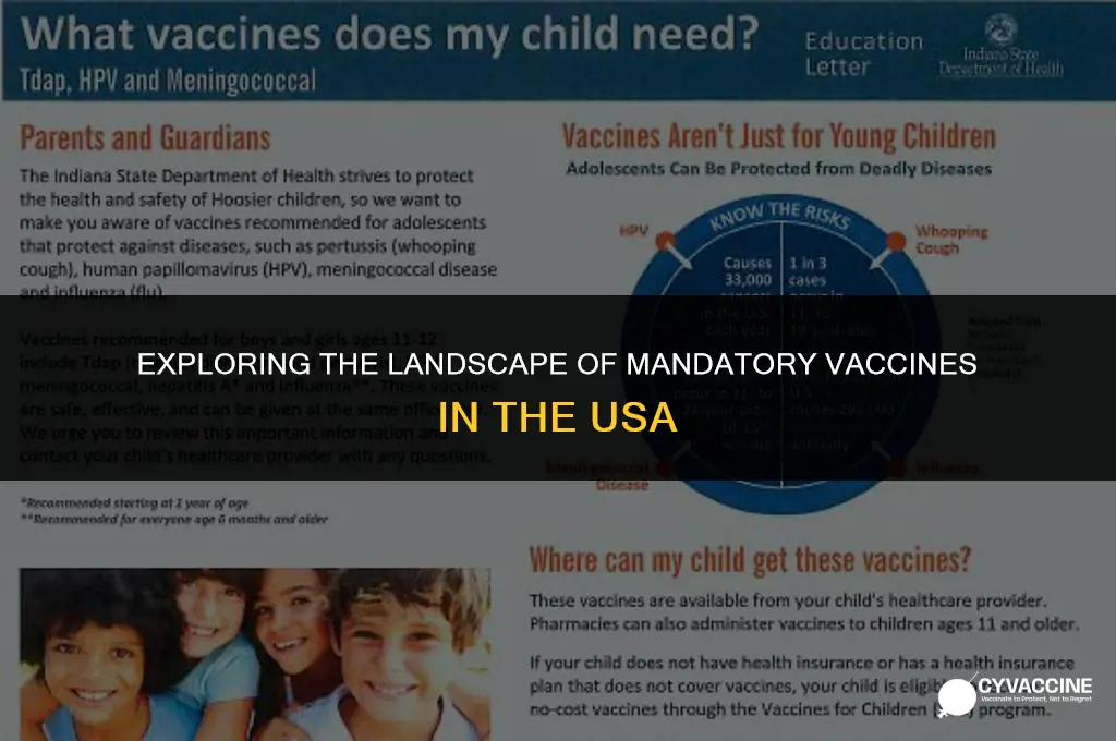 is there mandatory vaccines in usa