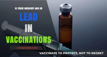 Debunking Myths: Mercury and Lead in Vaccinations – Facts Revealed