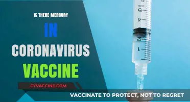 Unveiling the Truth: Mercury and COVID-19 Vaccines