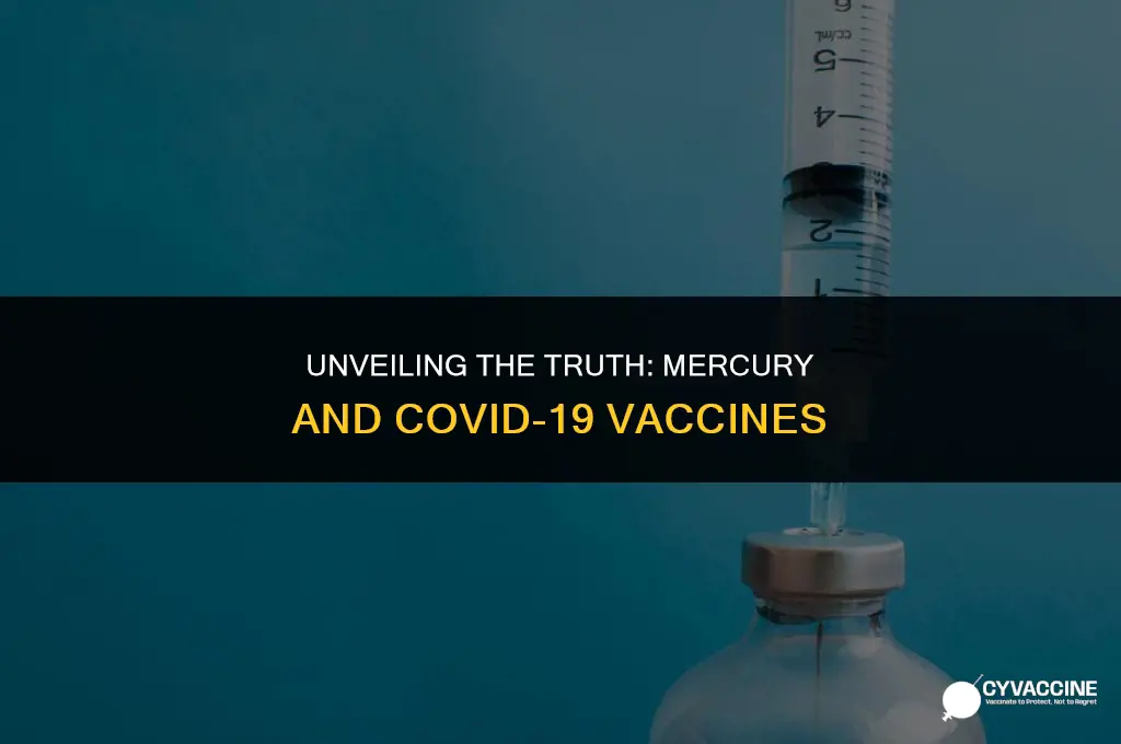 is there mercury in coronavirus vaccine