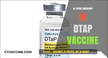 Exploring the Safety of DTaP Vaccines: Mercury Concerns Addressed
