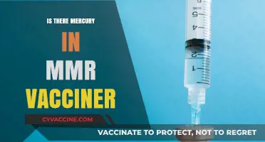Unveiling the Truth: MMR Vaccine and Mercury Concerns
