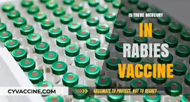 Unveiling the Truth: Mercury's Presence in Rabies Vaccines