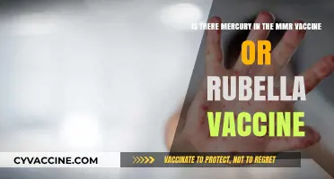 Mercury-Free: Debunking MMR and Rubella Vaccine Myths and Misconceptions