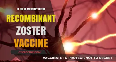 Recombinant Zoster Vaccine and Mercury: Debunking Common Concerns