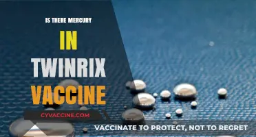 Exploring the Safety of Twinrix Vaccine: Mercury Concerns Addressed