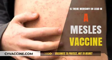 Debunking Myths: Are Mercury or Lead in Measles Vaccines?