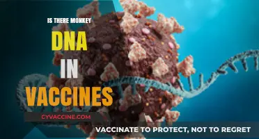 Unraveling the Myth: Do Vaccines Contain Monkey DNA?