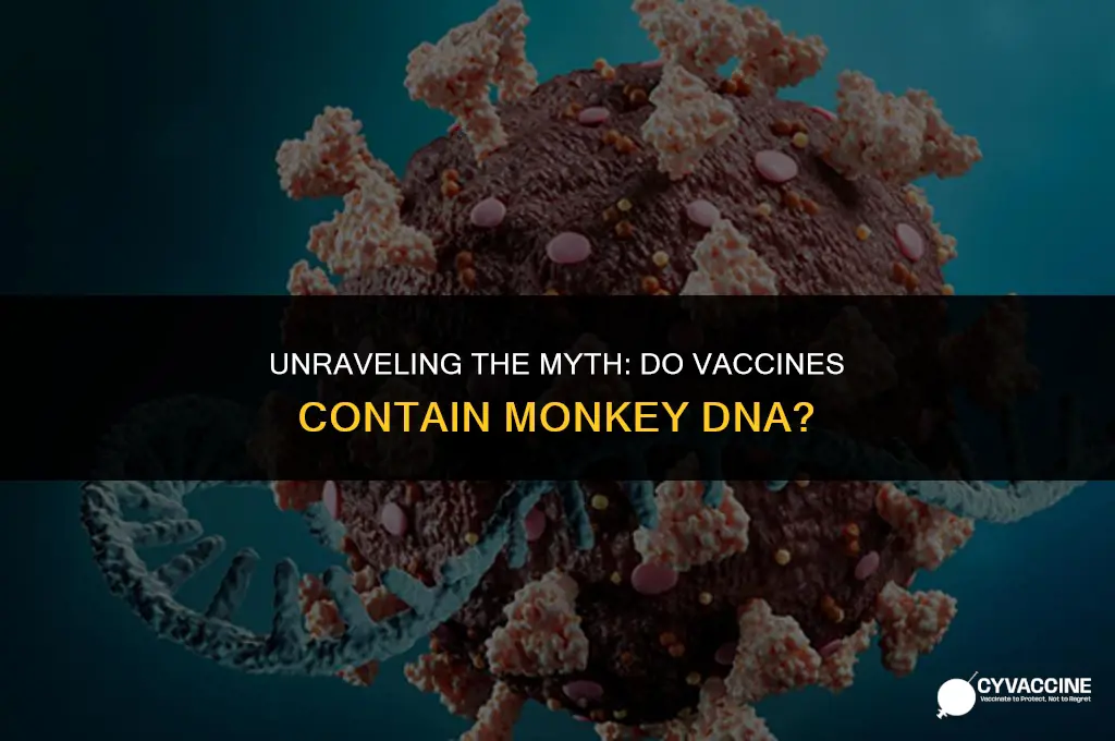 is there monkey dna in vaccines
