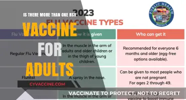 Exploring Multiple RSV Vaccines: Options for Adult Protection