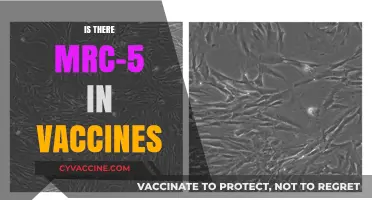 Unveiling the Truth: MRC-5 in Vaccines - A Comprehensive Analysis