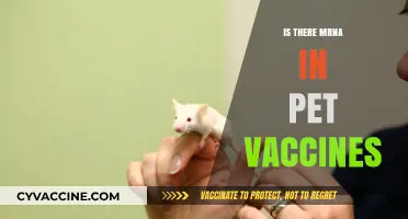 Exploring mRNA Technology in Pet Vaccines: A Comprehensive Guide