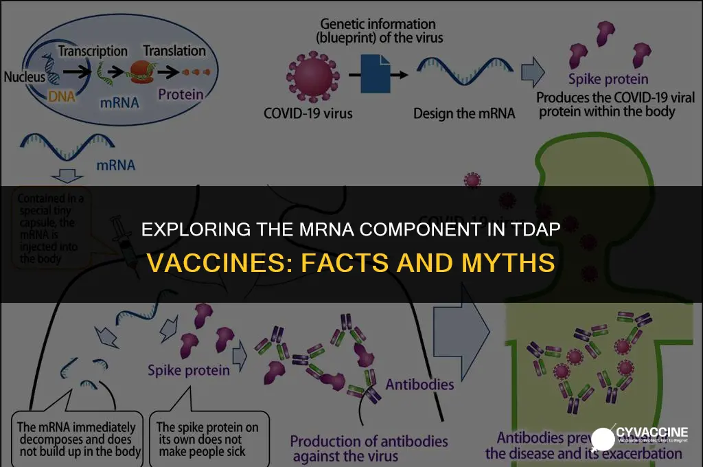 is there mrna in tdap vaccine