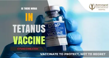 Exploring Tetanus Vaccines: The mRNA Connection Unveiled