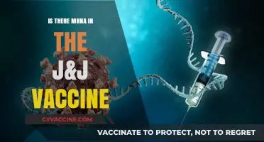 J&J Vaccine: Does It Contain mRNA Technology? Facts Explained
