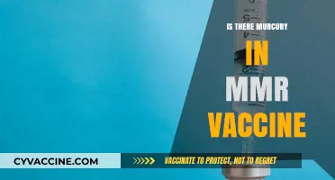 Unveiling the Truth: MMR Vaccine and Mercury Concerns