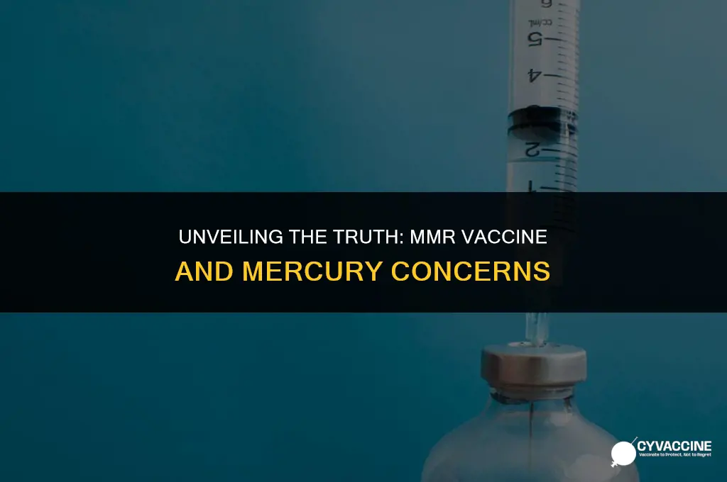 is there murcury in mmr vaccine