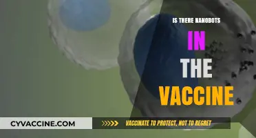 Unveiling the Truth: Nanobots and Vaccines - A Scientific Exploration