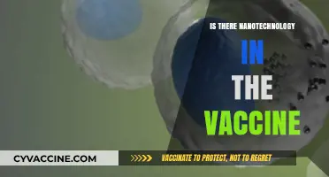 Exploring the Role of Nanotechnology in Modern Vaccines