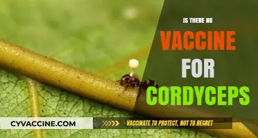 Exploring the Enigma: Why Cordyceps Remains Vaccine-Free