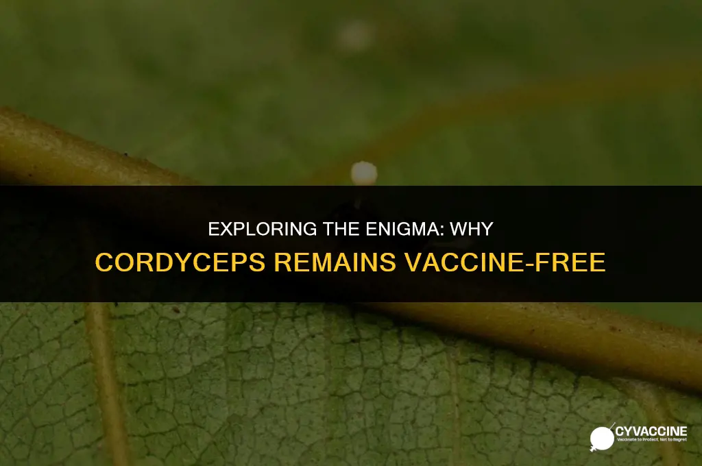 is there no vaccine for cordyceps