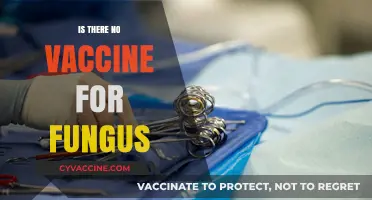 Exploring the Complex World of Fungal Infections: Why Vaccines Remain Elusive