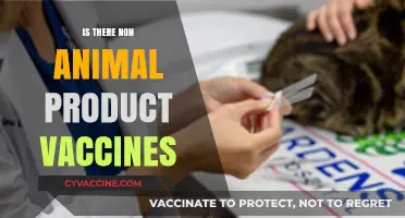Exploring Vaccine Alternatives: A Guide to Non-Animal Product Options