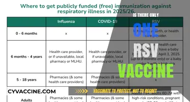 Exploring the RSV Vaccine Landscape: Beyond the First Option