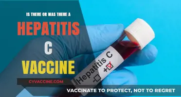 Hepatitis C Vaccine: Current Status and Future Prospects Explained
