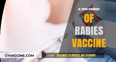 Rabies Vaccine Overdose: Facts, Myths, and Safety Measures