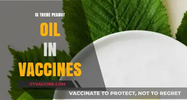 Exploring the Truth: Peanut Oil and Vaccines