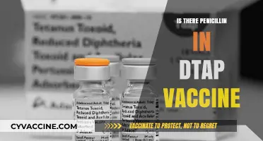 Exploring the Ingredients: Does the DTaP Vaccine Contain Penicillin?