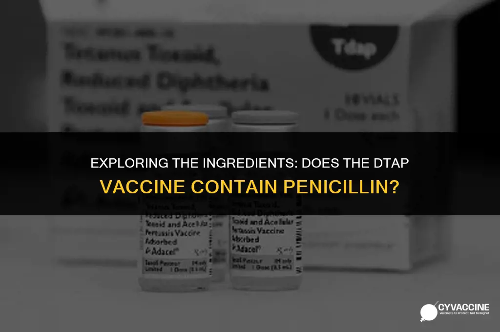 is there penicillin in dtap vaccine
